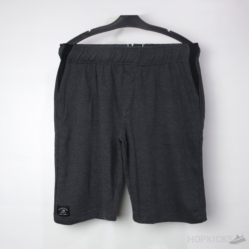 American Eagle Charcoal Shorts