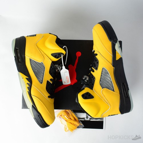 Air Jordan 5 Retro Michigan 