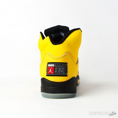 Air Jordan 5 Retro Michigan 