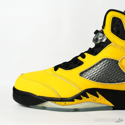 Air Jordan 5 Retro Michigan 