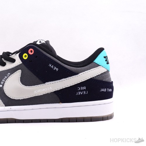 SB Dunk Low VX1000 Camcorder