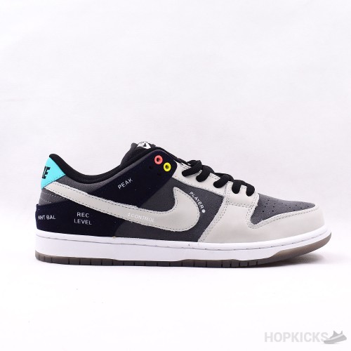 SB Dunk Low VX1000 Camcorder