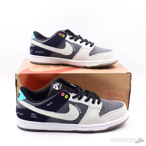 SB Dunk Low VX1000 Camcorder