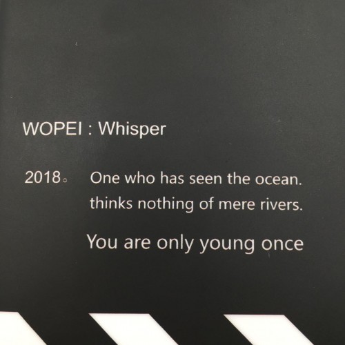 Off White Black White Iphone Cover