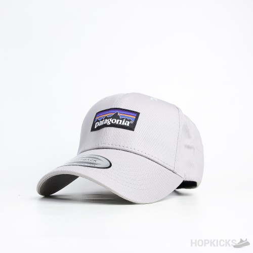 Patagonia P6 Label Skin Cap