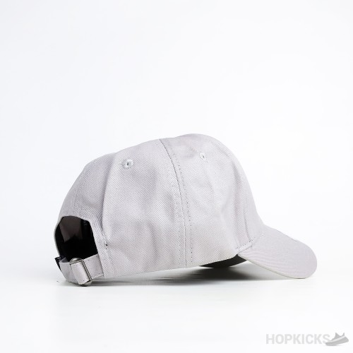 Patagonia P6 Label Skin Cap