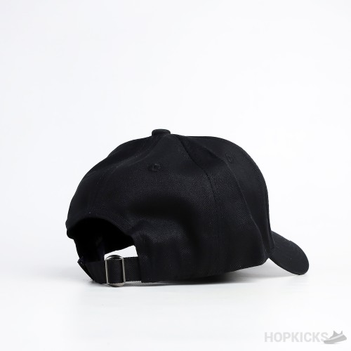 Patagonia P6 Label Black Cap
