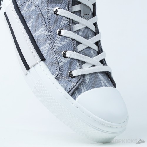 Dior B23 CD Diamond Canvas Hi-Top Gray (Dot Perfect)