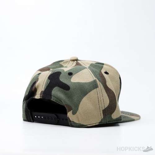 Cayler And Sons PA Icon Camo Snapback Cap