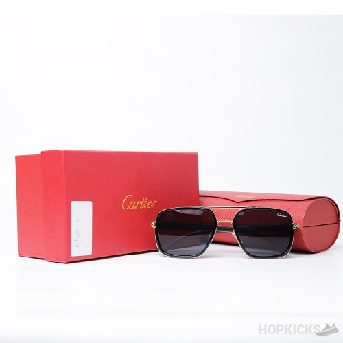 Cartier Men's Double-bar Metal Printed Frame Sunglasses