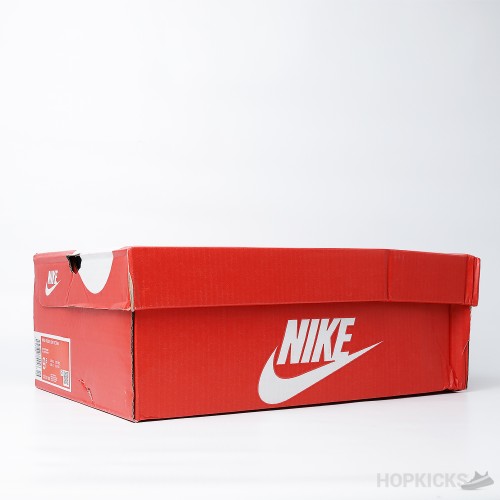 Nike Dunk Low Retro White Black Panda