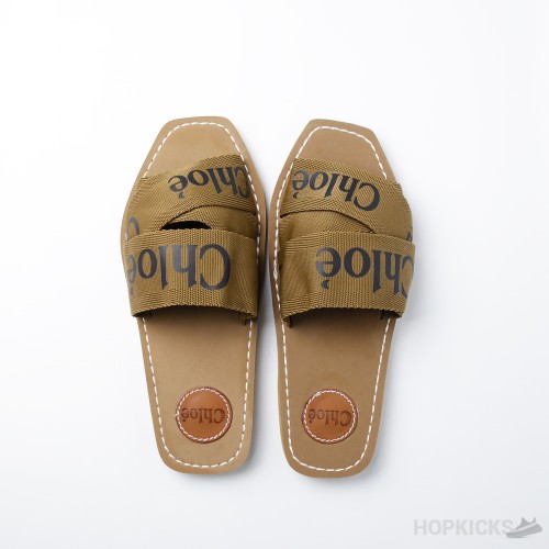 Chloe Ribbon Slipper Brown (Premium Batch)