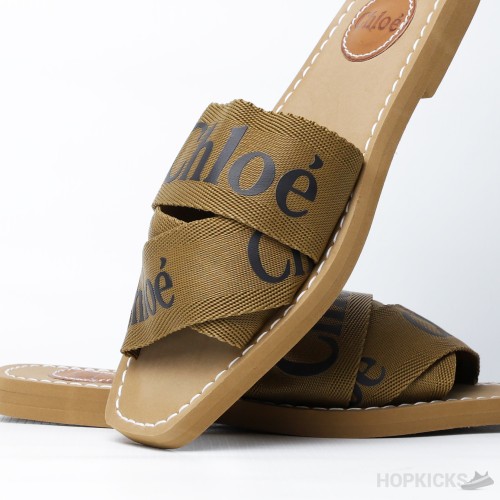 Chloe Ribbon Slipper Brown (Premium Batch)