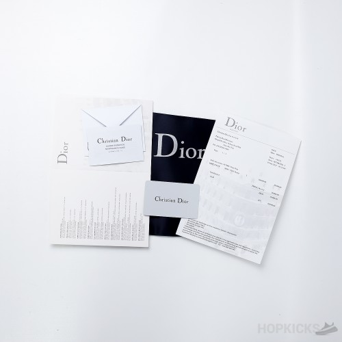 Dior B23 High 'Blue White' (Dot Perfect)