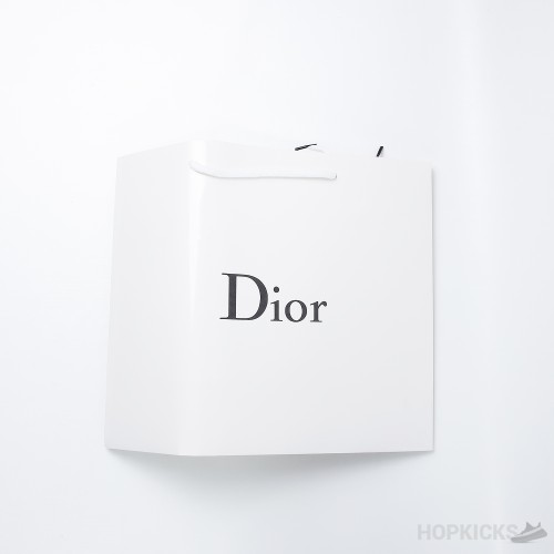 Dior B23 Slip On Sneaker (Dot Perfect)