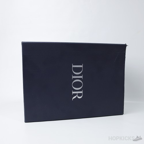 Dior B23 Slip On Sneaker (Dot Perfect)
