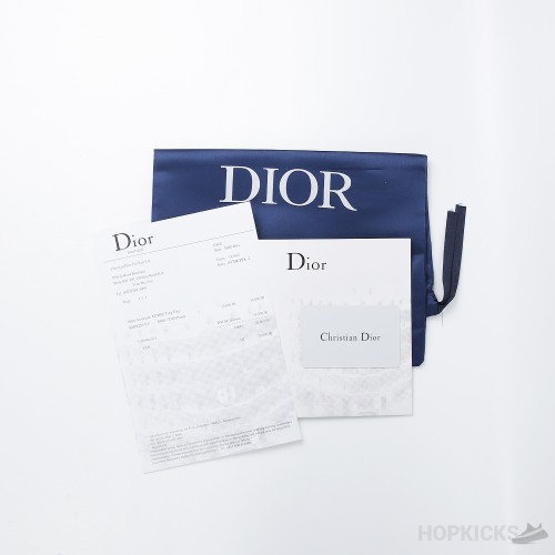 Dior B23 Slip On Sneaker (Dot Perfect)