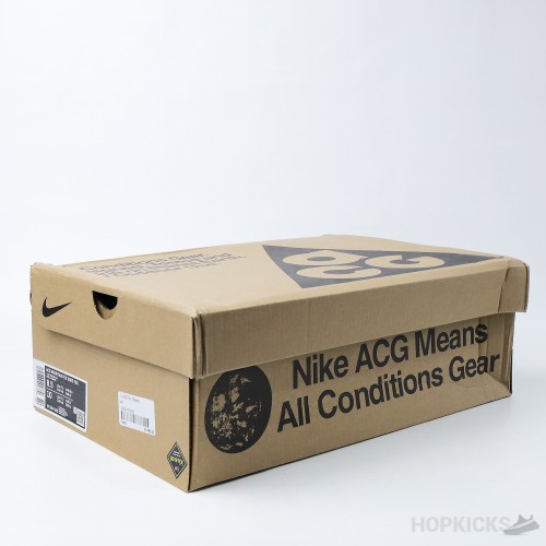Nike ACG Gore-Tex Mountain Fly 'Clay Green' (Premium Plus Batch)