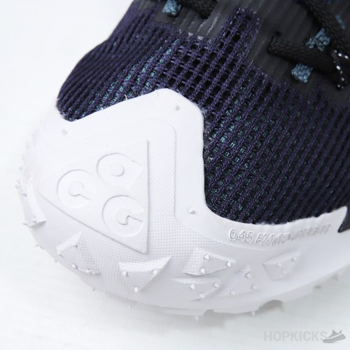 Nike ACG Mountain Fly Low GORE-TEX ' Purple White' (Premium Plus Batch)