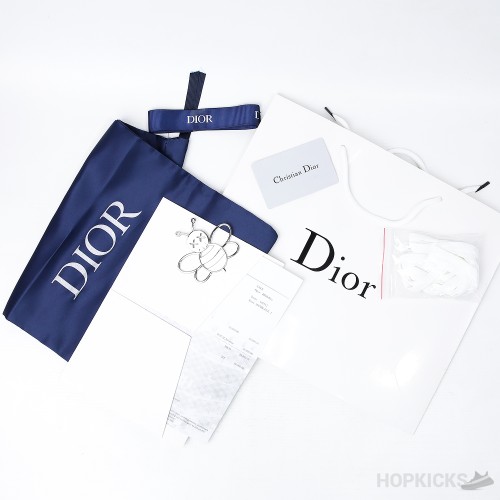 Dior Oblique B23 Low White Grey (Dot Perfect)