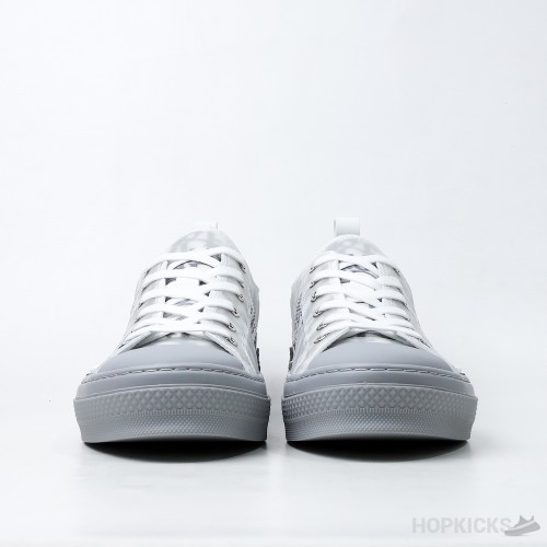 Dior Oblique B23 Low White Grey (Dot Perfect)