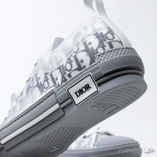 Dior Oblique B23 Low White Grey (Dot Perfect)