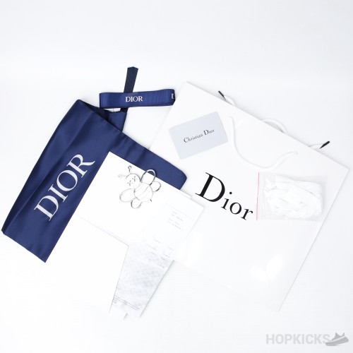 Daniel Asham x Dior B23 Low 'Newsprint' (Dot Perfect)