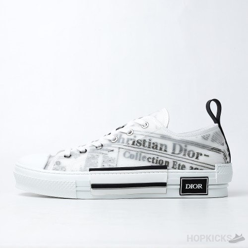 Daniel Asham x Dior B23 Low 'Newsprint' (Dot Perfect)