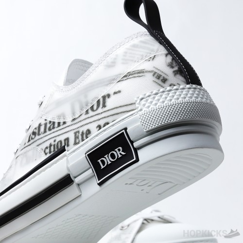 Daniel Asham x Dior B23 Low 'Newsprint' (Dot Perfect)