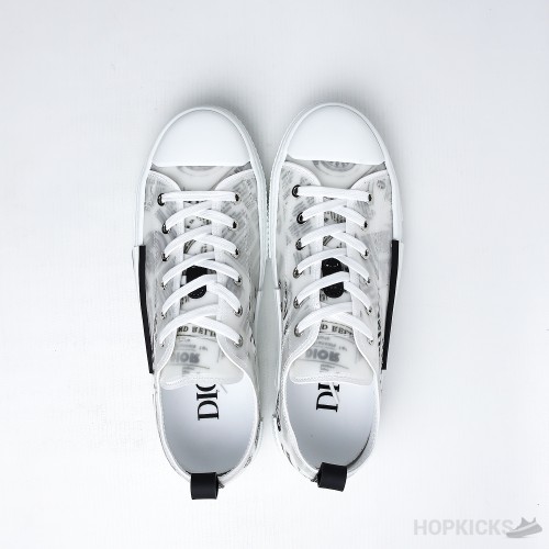 Daniel Asham x Dior B23 Low 'Newsprint' (Dot Perfect)