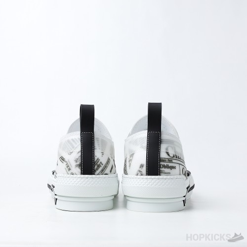 Daniel Asham x Dior B23 Low 'Newsprint' (Dot Perfect)