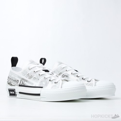 Daniel Asham x Dior B23 Low 'Newsprint' (Dot Perfect)