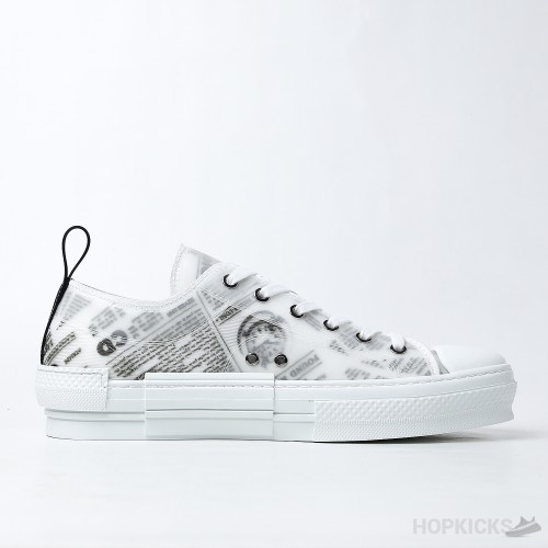 Daniel Asham x Dior B23 Low 'Newsprint' (Dot Perfect)