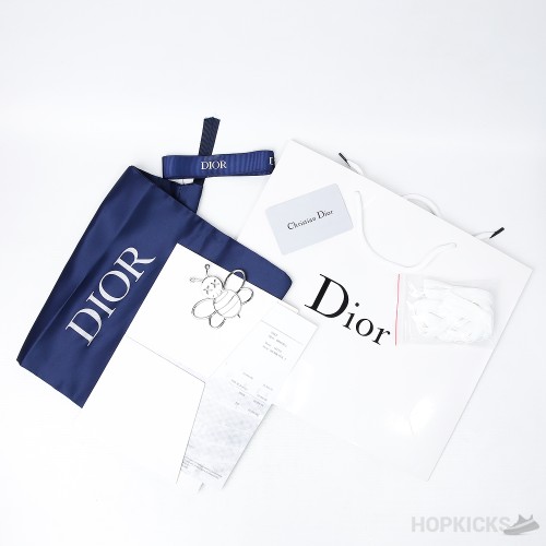 Dior Oblique B23 Low White Blue (Dot Perfect)