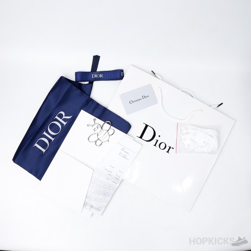 Daniel Asham x Dior B23 High 'Newsprint' (Dot Perfect)