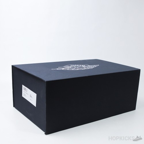 Dior x Air Jordan 1 High OG (Dot Perfect)