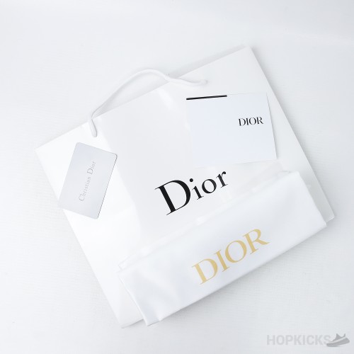 DIOR DWAY SLIDE Black (Dot Perfect)