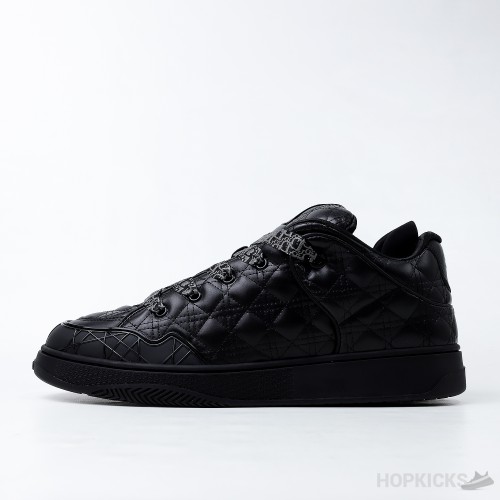 Dior B9S Skater ERL 'Black' (Dot Perfect)