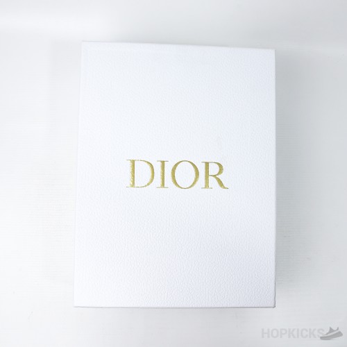 Dior B9S Skater ERL 'Blue' (Dot Perfect)