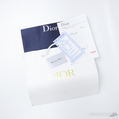 Dior B27 High Grey CD Diamond (Dot Perfect)