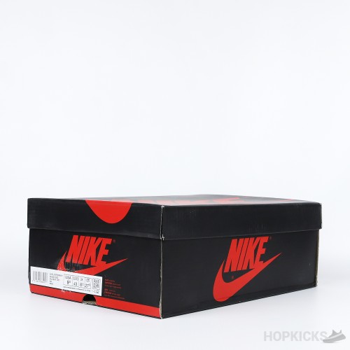 Air Jordan 1 Retro High OG Varsity Red (Premium Batch)