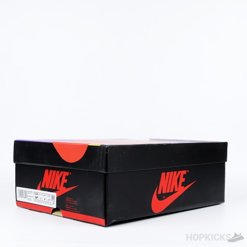 Air Jordan 1 Retro High OG Skyline (Premium Batch)