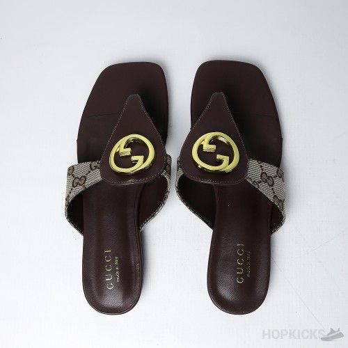 Gucci Blondie Thong Sandal Brown (Premium Plus Batch)