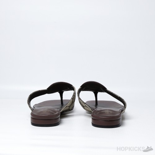 Gucci Blondie Thong Sandal Brown (Premium Plus Batch)