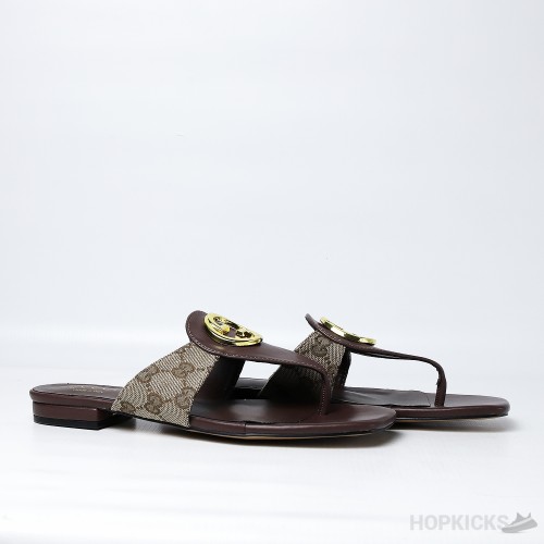 Gucci Blondie Thong Sandal Brown (Premium Plus Batch)