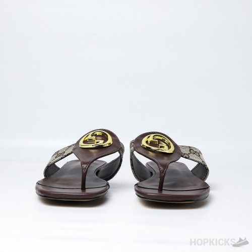 Gucci Blondie Thong Sandal Brown (Premium Plus Batch)