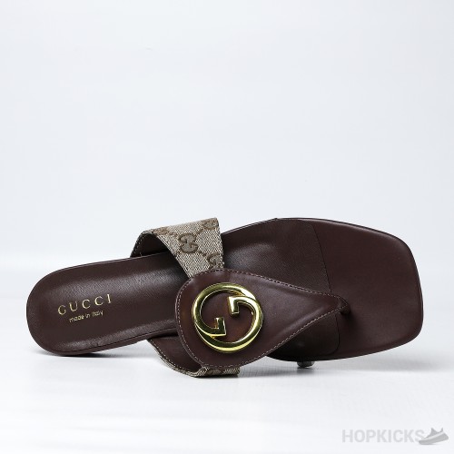 Gucci Blondie Thong Sandal Brown (Premium Plus Batch)