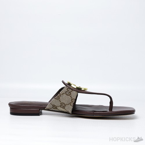 Gucci Blondie Thong Sandal Brown (Premium Plus Batch)