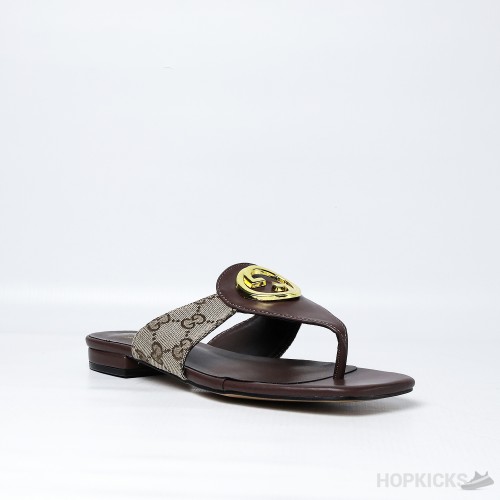 Gucci Blondie Thong Sandal Brown (Premium Plus Batch)