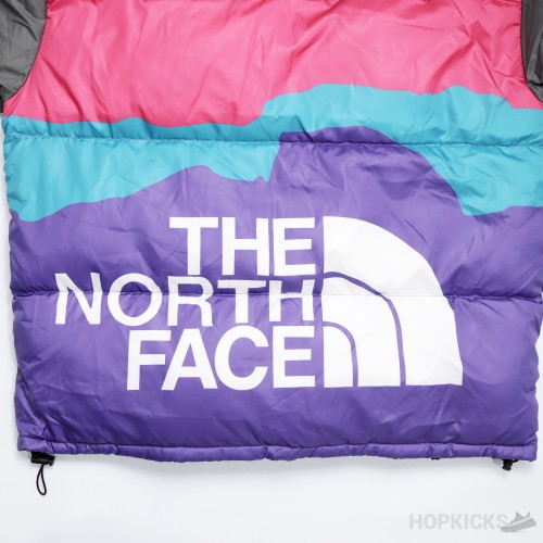 The North Face x Invincible 1996 Retro Nuptse (High-end Batch)